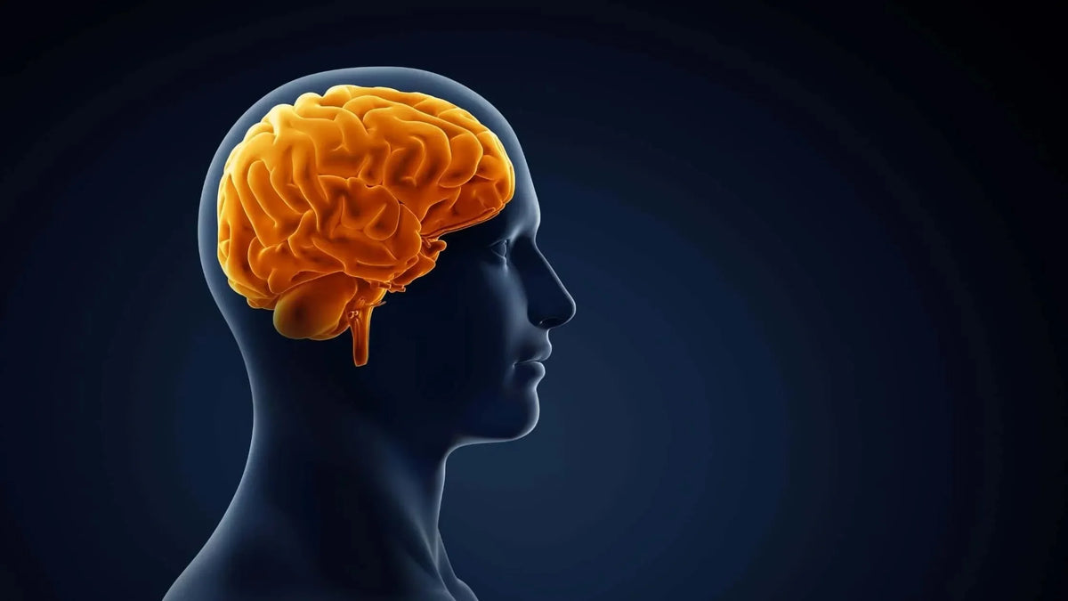 Mental Health Benefits of Massage Chairs - Rotai - Best Massage Chair in Dubai UAE - Shop massage chairs in Dubai, UAE, Abu Dhabi -Therapy Massage Chairs - Back, Neck, & Leg Pain Relief
